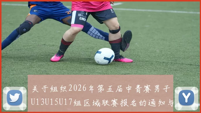 关于组织2026年第五届中青赛男子U13U15U17组区域联赛报名的通知与要求